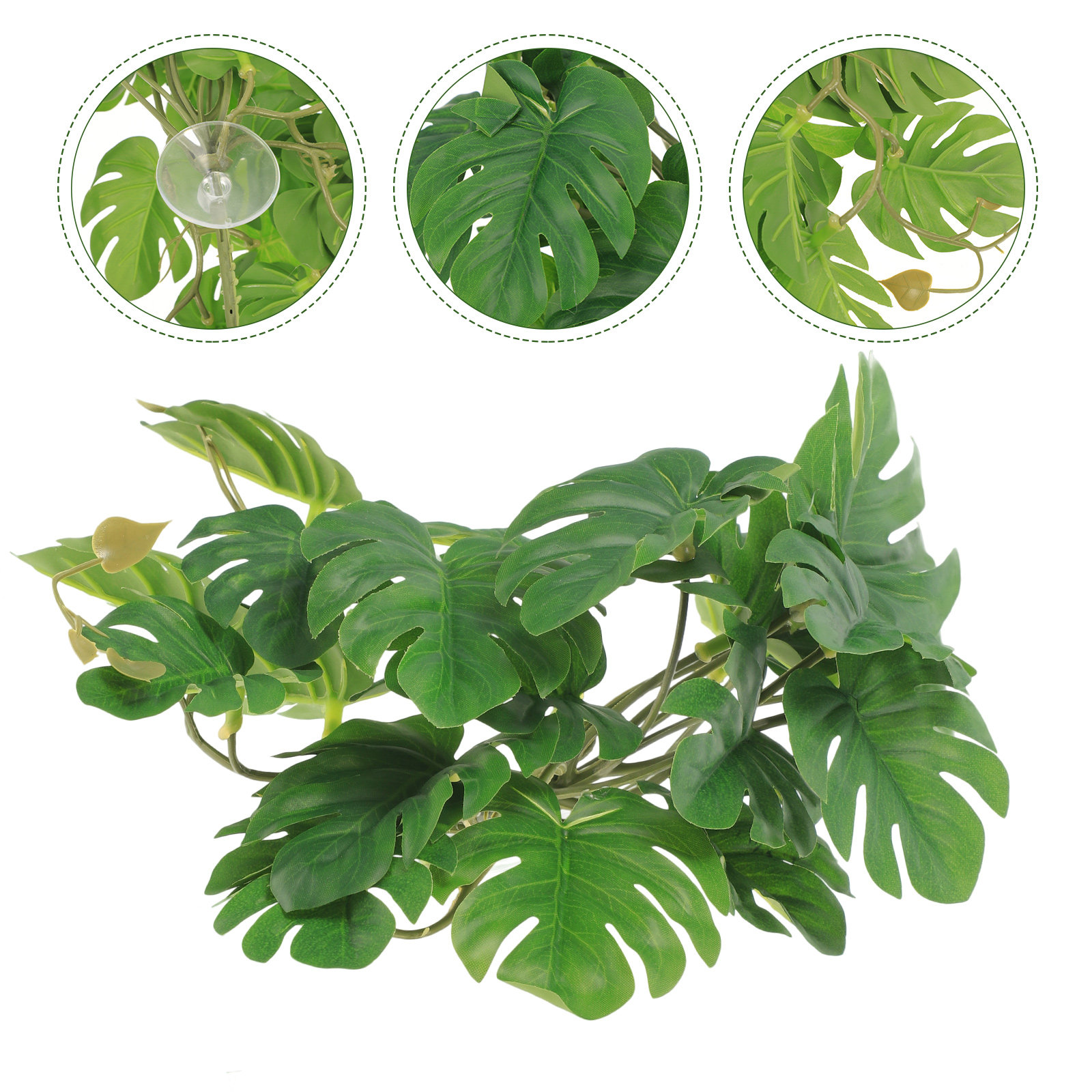 Non Planted Aquarium Fish - Sichere, ungiftige Terrarienpflanzen für Reptilien, Eidechsenboxen,