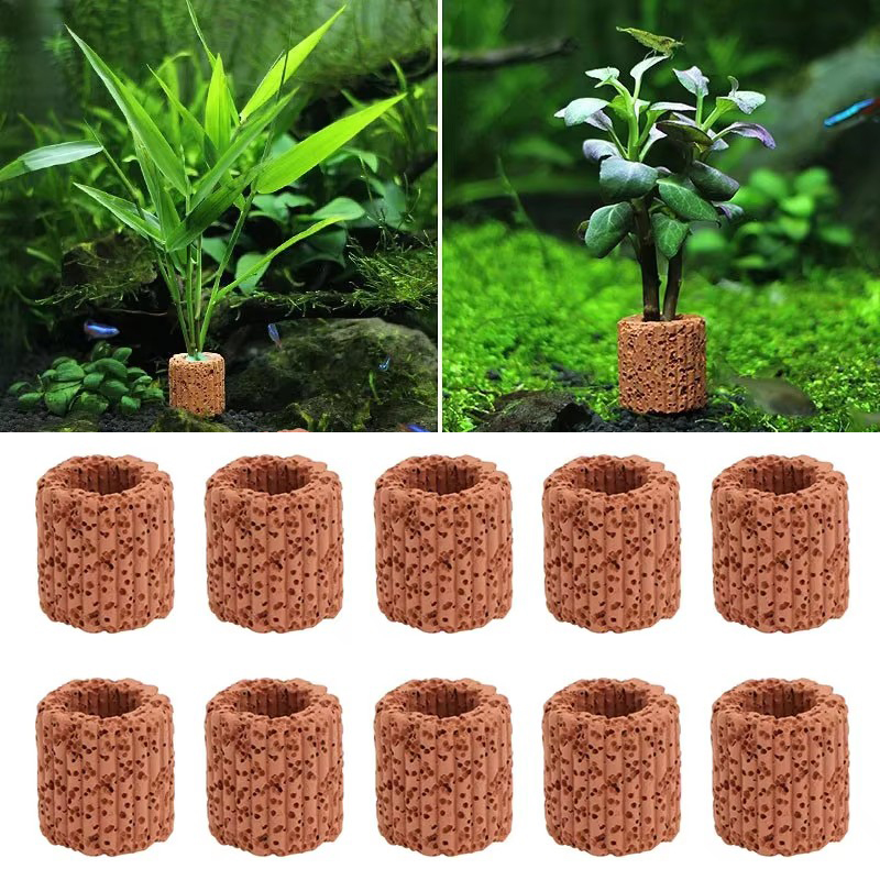 Aquarium Plant Utensils - Fester Ring für Wasserpflanzen für Aquarien,