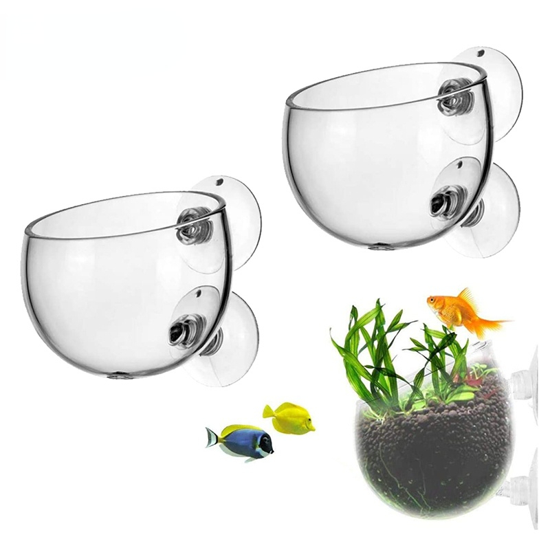 Aquarium Planted Seeds - Neue Aquarium Blumentopf Glas Zylinder Tasse