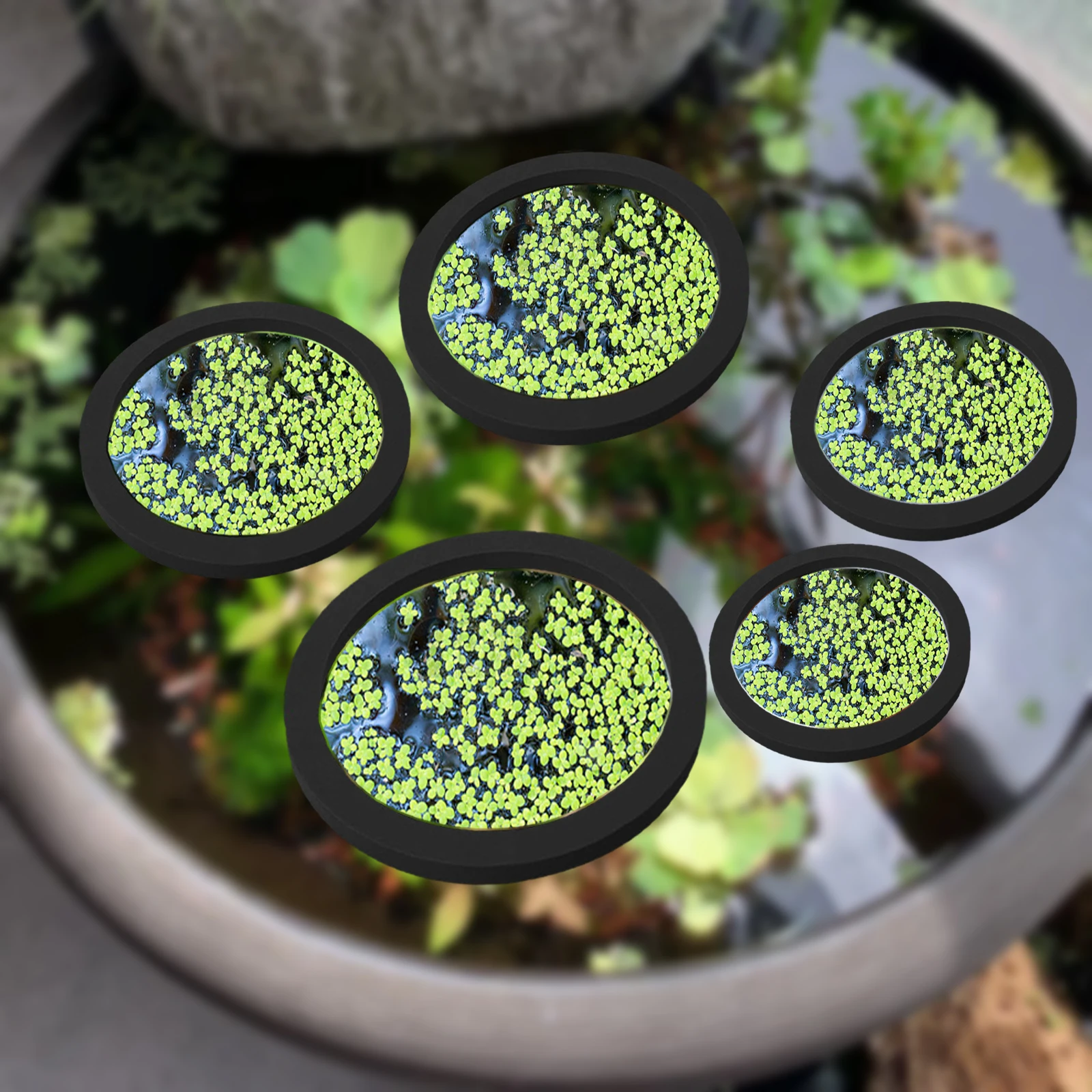 Aquarium Planted Plants - 5Pcs EVA Fisch Fütterung Ring Aquarium