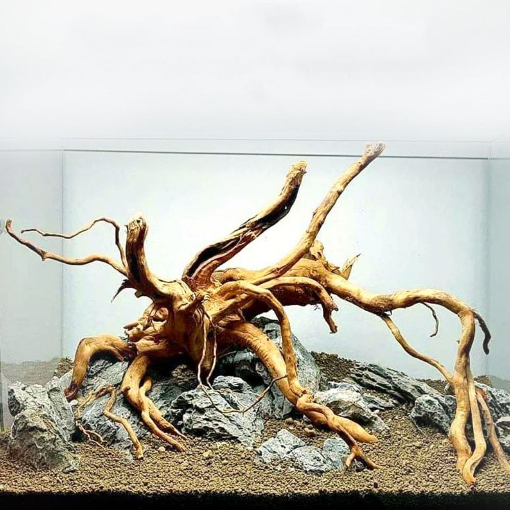 Aquarium Planted Tree - 20-25CM Großes Aquarium-Treibholz, Natürliche Fischbecken-Pflanzendekoration, Baumstumpf