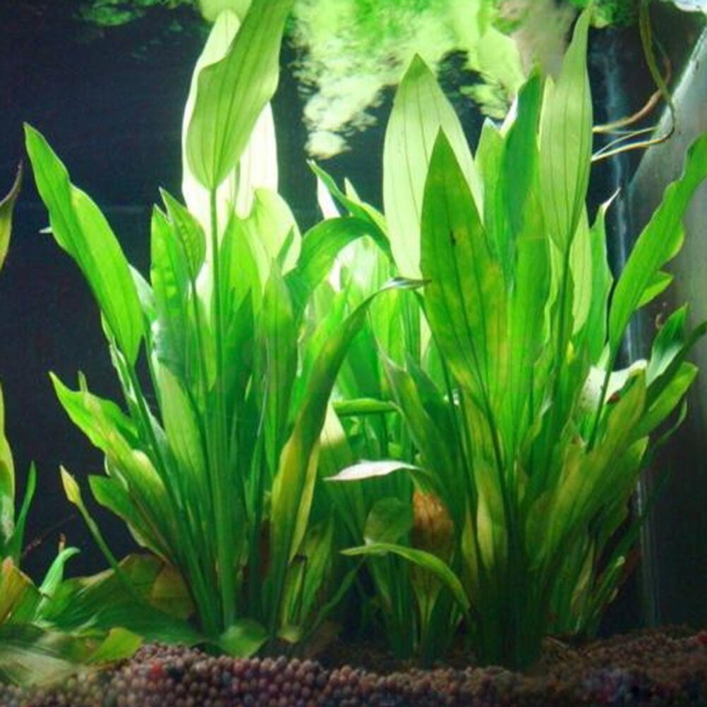 Planted Aquarium Materials - 15cm künstliches Aquarium Dekor Pflanzen Wasser