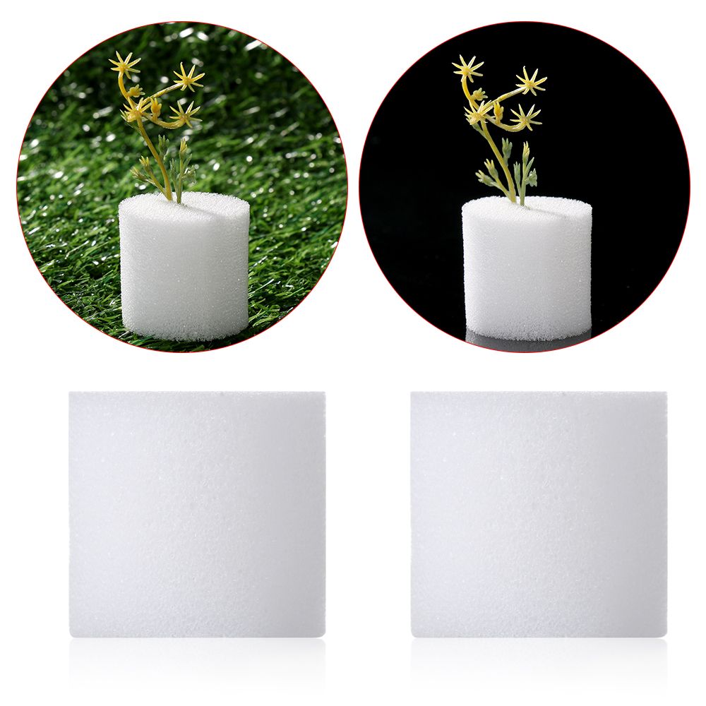Aquarium Planted Seeds - 10/50 stücke Durable Garten Liefert Aquarium