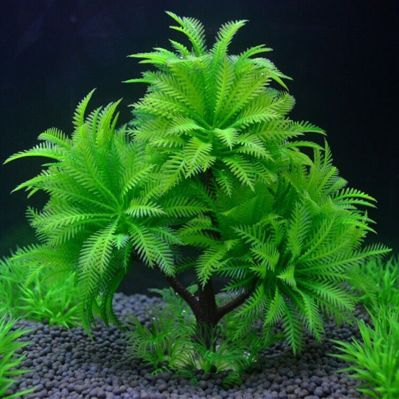 Aquarium Plant Guide - Aquarium dekorative Simulation Pflanze Aquatische Wasser