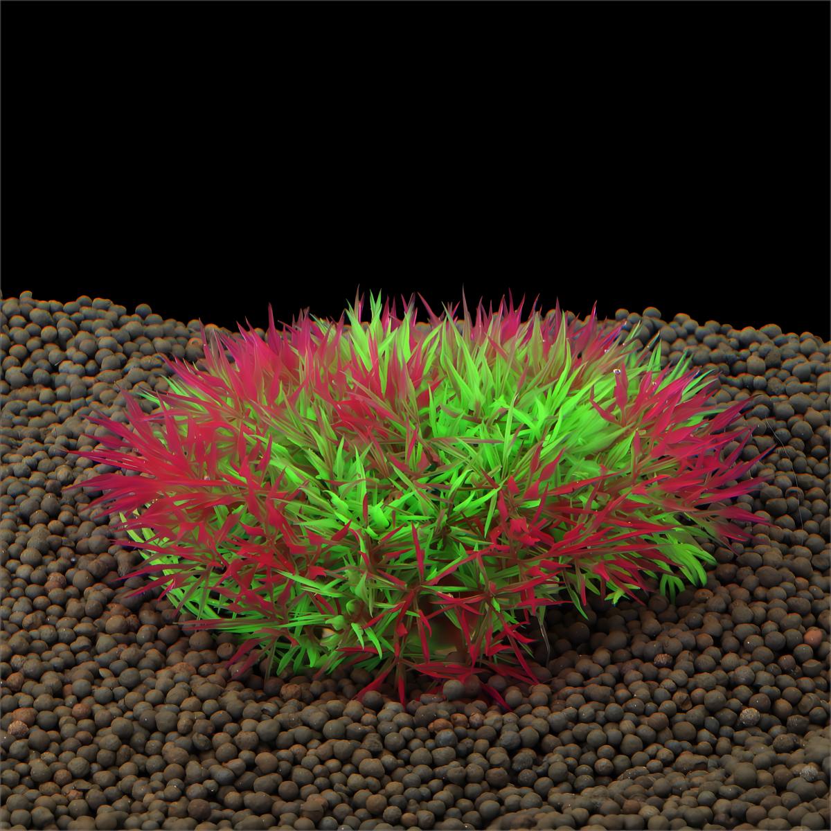Künstliches Wasserpflanzen-Dek – Planted Aquarium Materials Bewertung und Preis