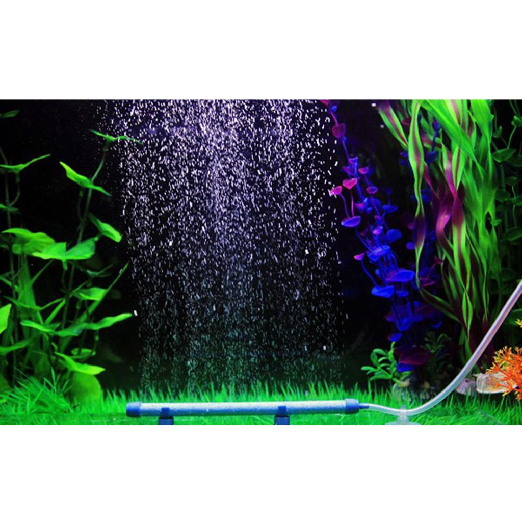 Sauerstoff-Diffusorstab für Aq – Non Planted Aquarium Fish Bewertung und Preis