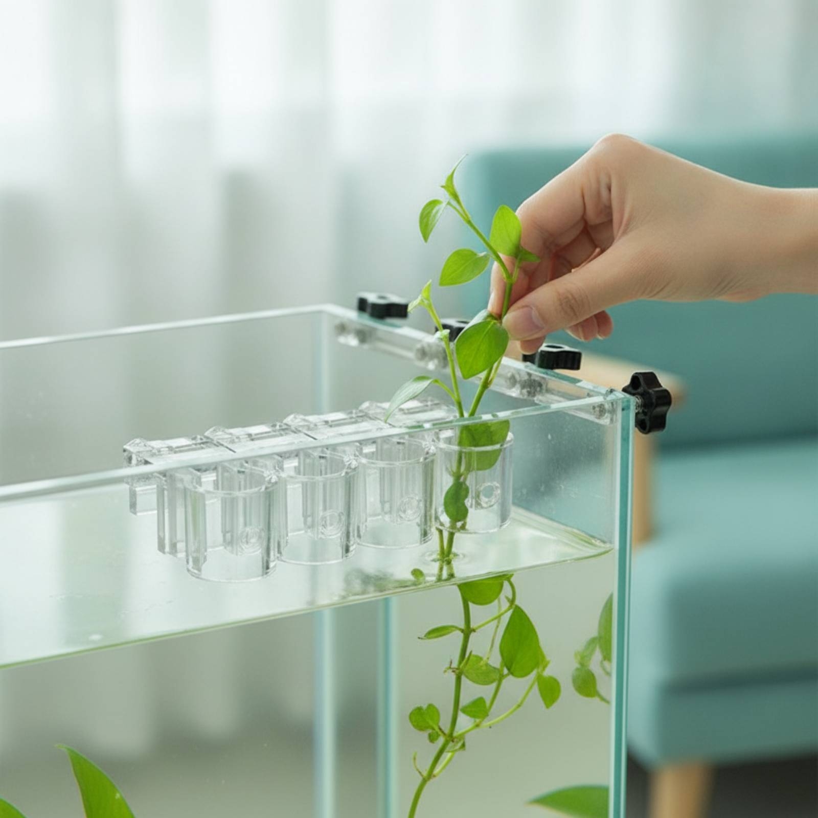6 Stück Aquarium-Pflanzhalter, – Aquarium Planted Plants Bewertung und Preis