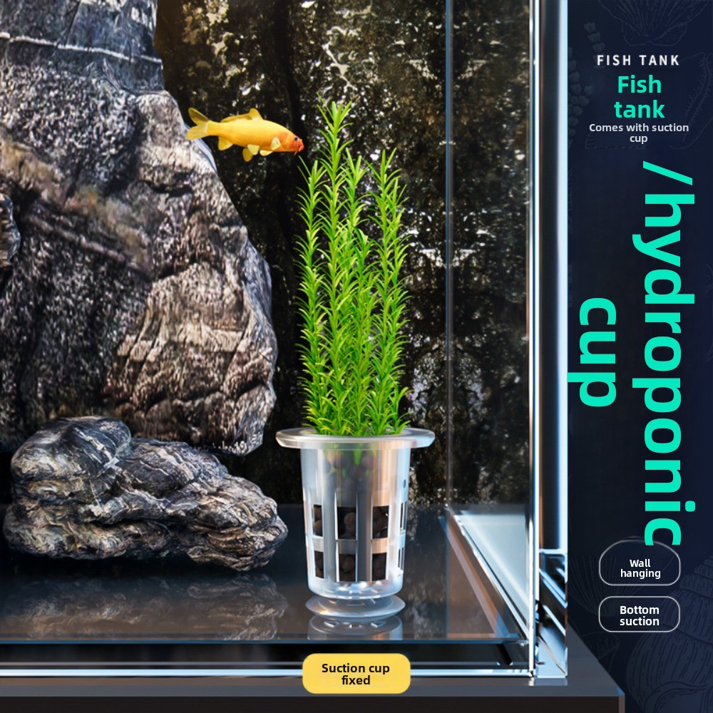 10 Stück Transparente Hydrokul – Planted Aquarium Materials Bewertung und Preis