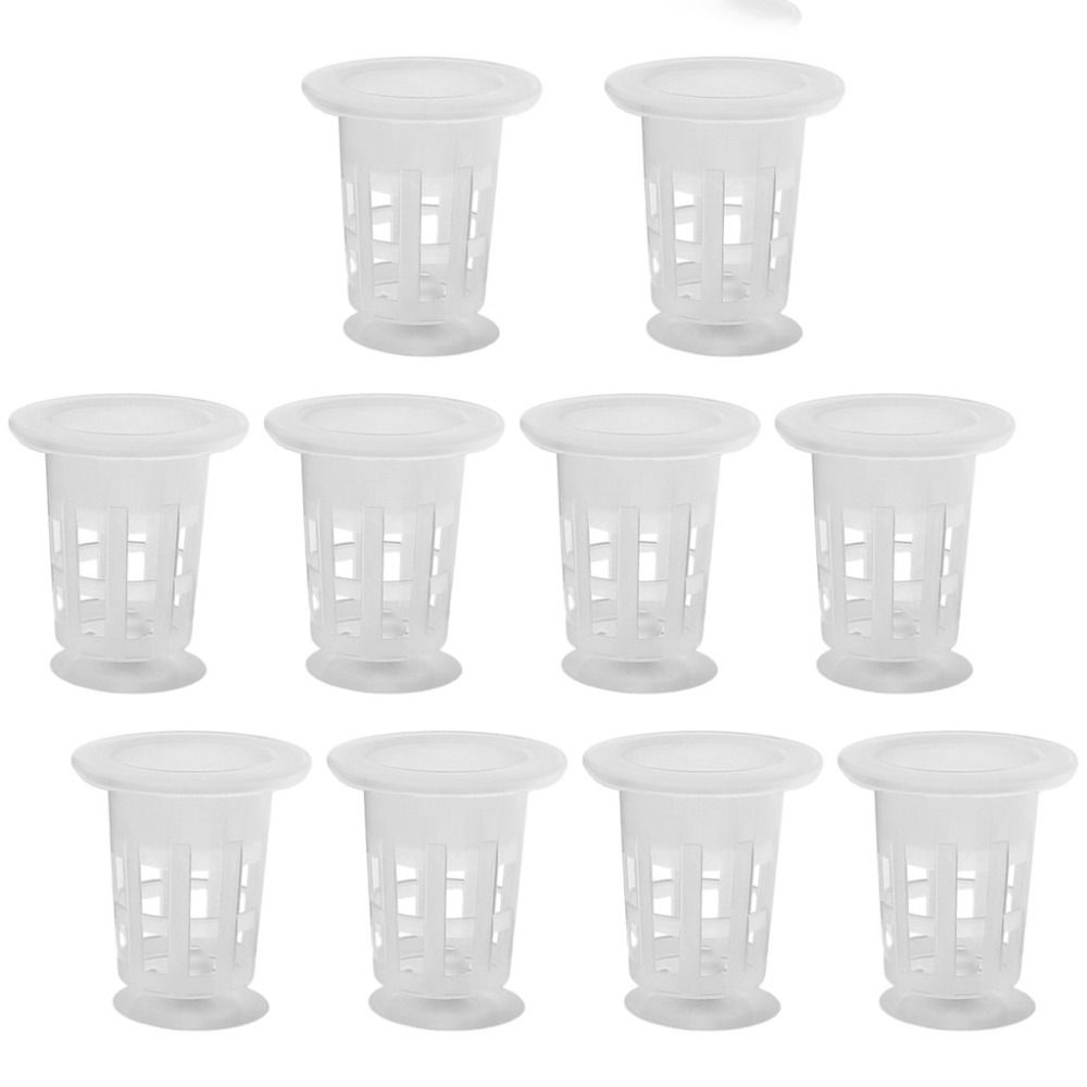 10 Stück Transparente Hydrokul – Planted Aquarium Materials Bewertung und Preis