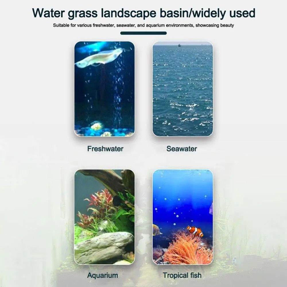 10 Stück Transparente Hydrokul – Planted Aquarium Materials Bewertung und Preis