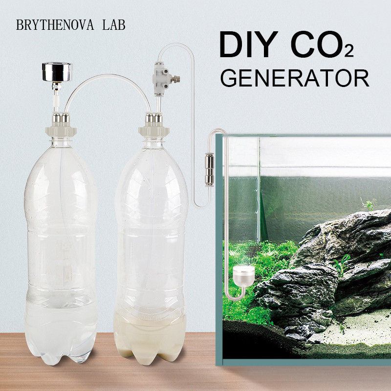 CO2-Generator für Aquarien: CO – Planted Aquarium Co2 System Bewertung und Preis