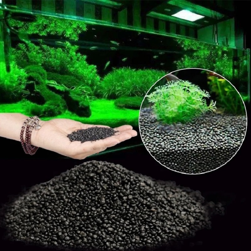 Aquarium Wasser Gras Schlamm P – Aquarium Planted Seeds Bewertung und Preis