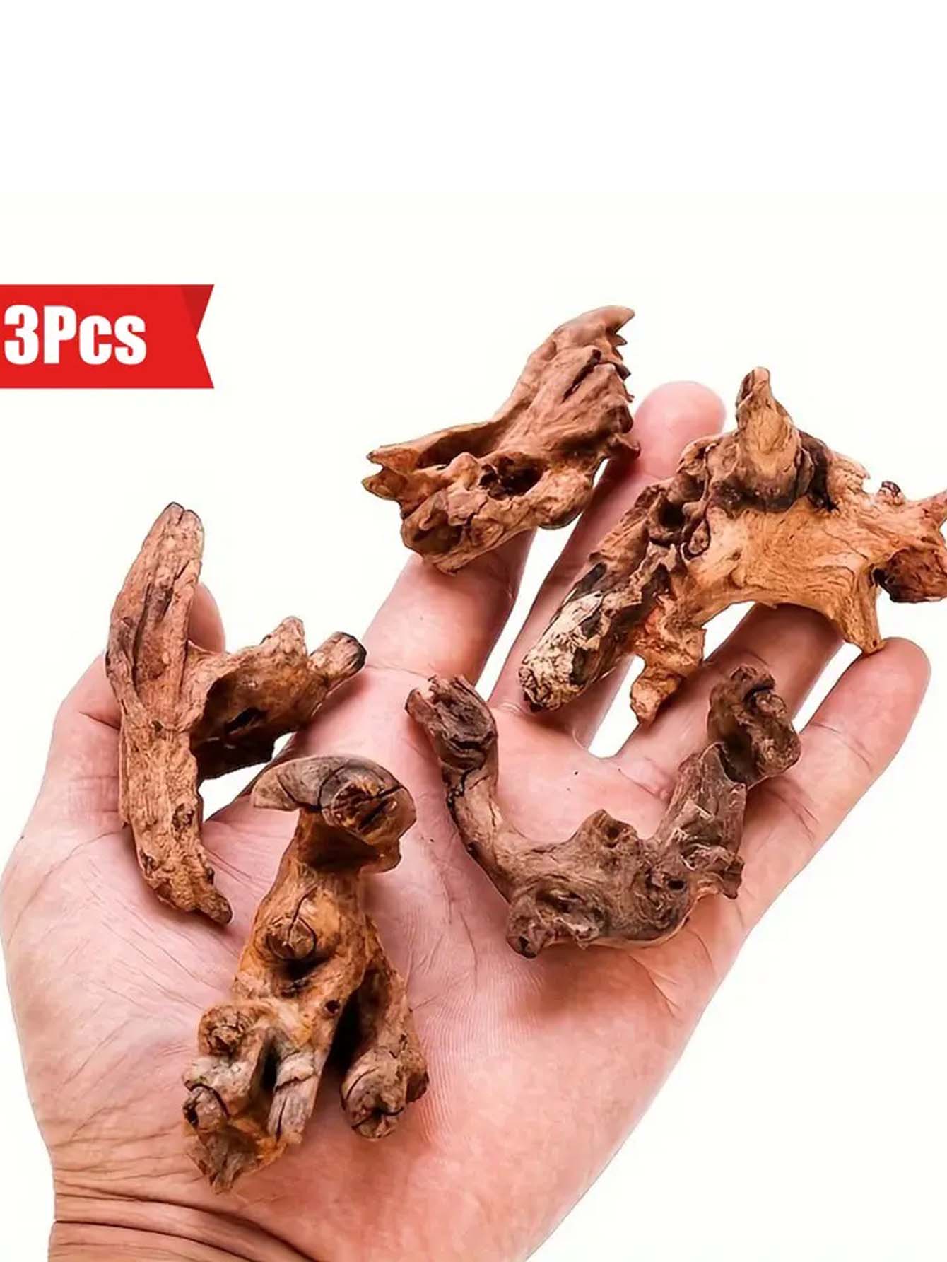 5-10CM Kleine Natürliche Baums – Aquarium Plant Guide Bewertung und Preis