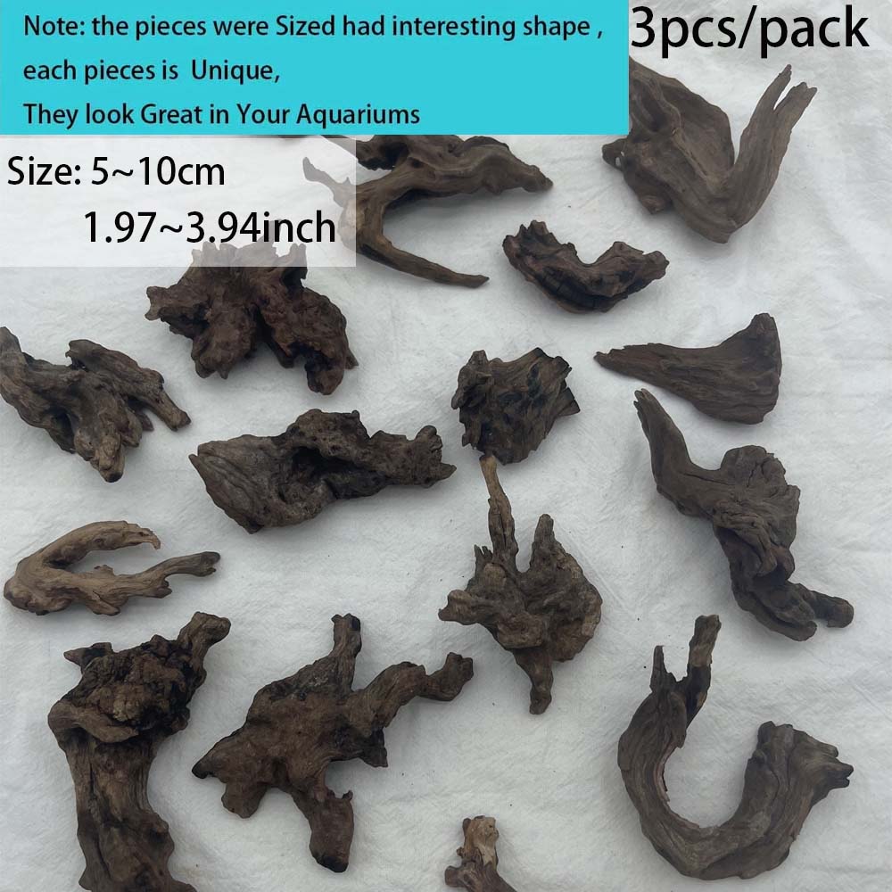 5-10CM Kleine Natürliche Baums – Aquarium Plant Guide Bewertung und Preis