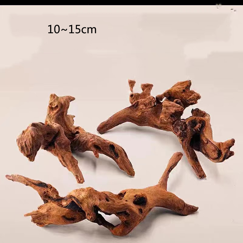 Natürliche Baumstamm Aquarium  – Aquarium Plant Guide Bewertung und Preis