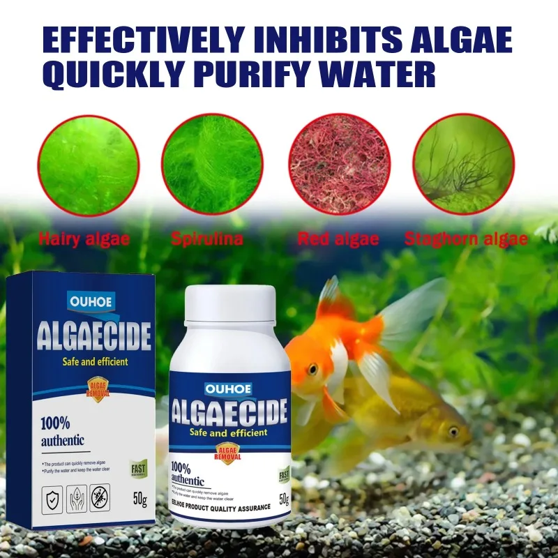 50g Hocheffizientes Algizid fü – Planted Aquarium Equipment Bewertung und Preis