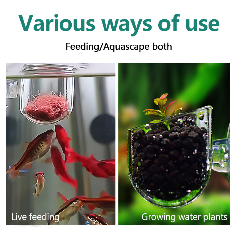 Aquarium-Dekorations-Pflanzent – Aquarium Plant Utensils Bewertung und Preis