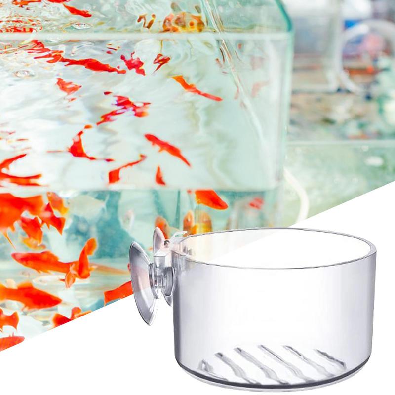 Aquarium-Pflanztopf, Glaszylin – Aquarium Planted Seeds Bewertung und Preis
