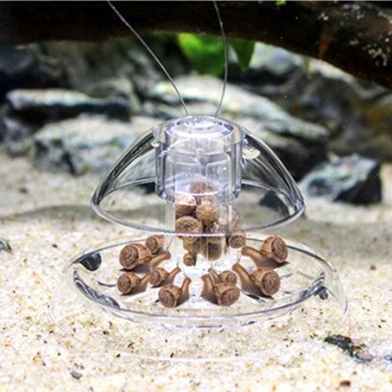 1 Stück Aquarium Aquarium Rein – Aquarium Plant Utensils Bewertung und Preis