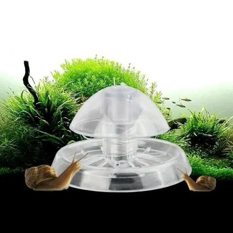 2026 Neu 6/8CM Klare Plastik-S – Planted Aquarium Equipment Bewertung und Preis