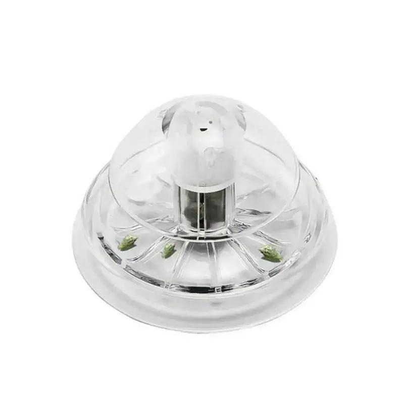 2026 Neu 6/8CM Klare Plastik-S – Planted Aquarium Equipment Bewertung und Preis