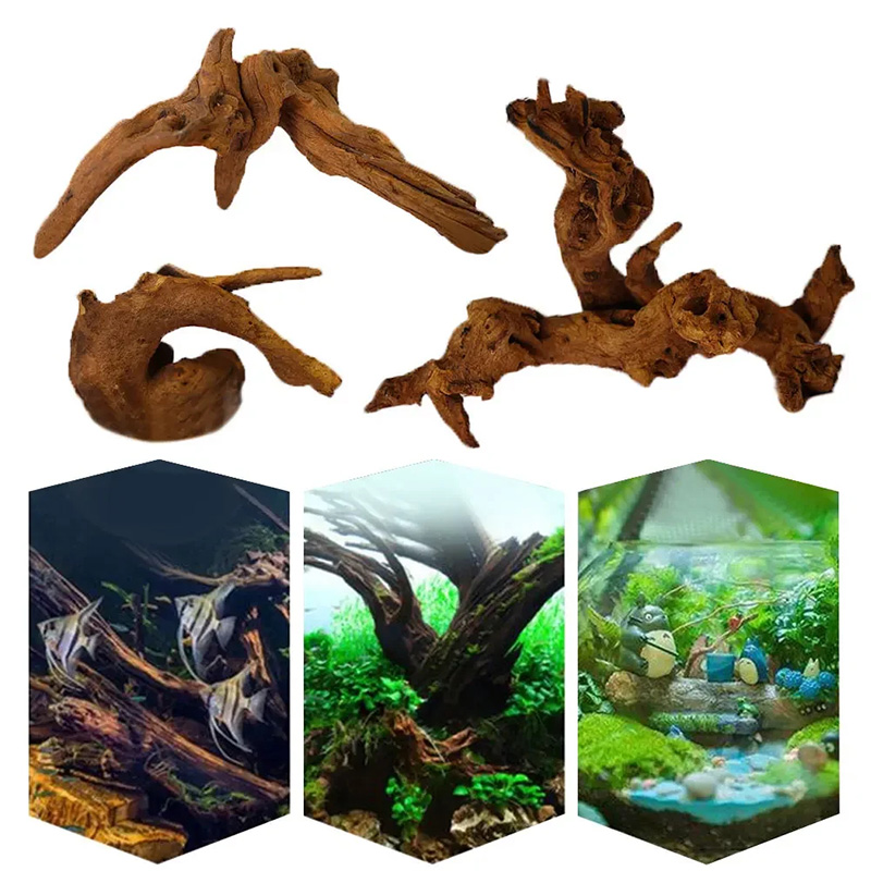 Meistverkaufte Neue Aquarium-D – Aquarium Plant Guide Bewertung und Preis