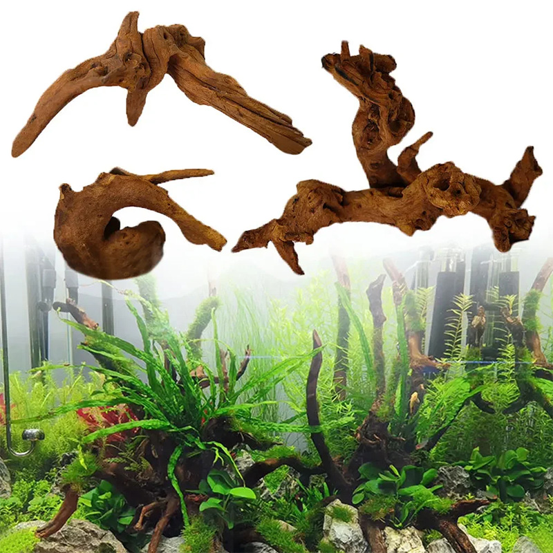 Meistverkaufte Neue Aquarium-D – Aquarium Plant Guide Bewertung und Preis