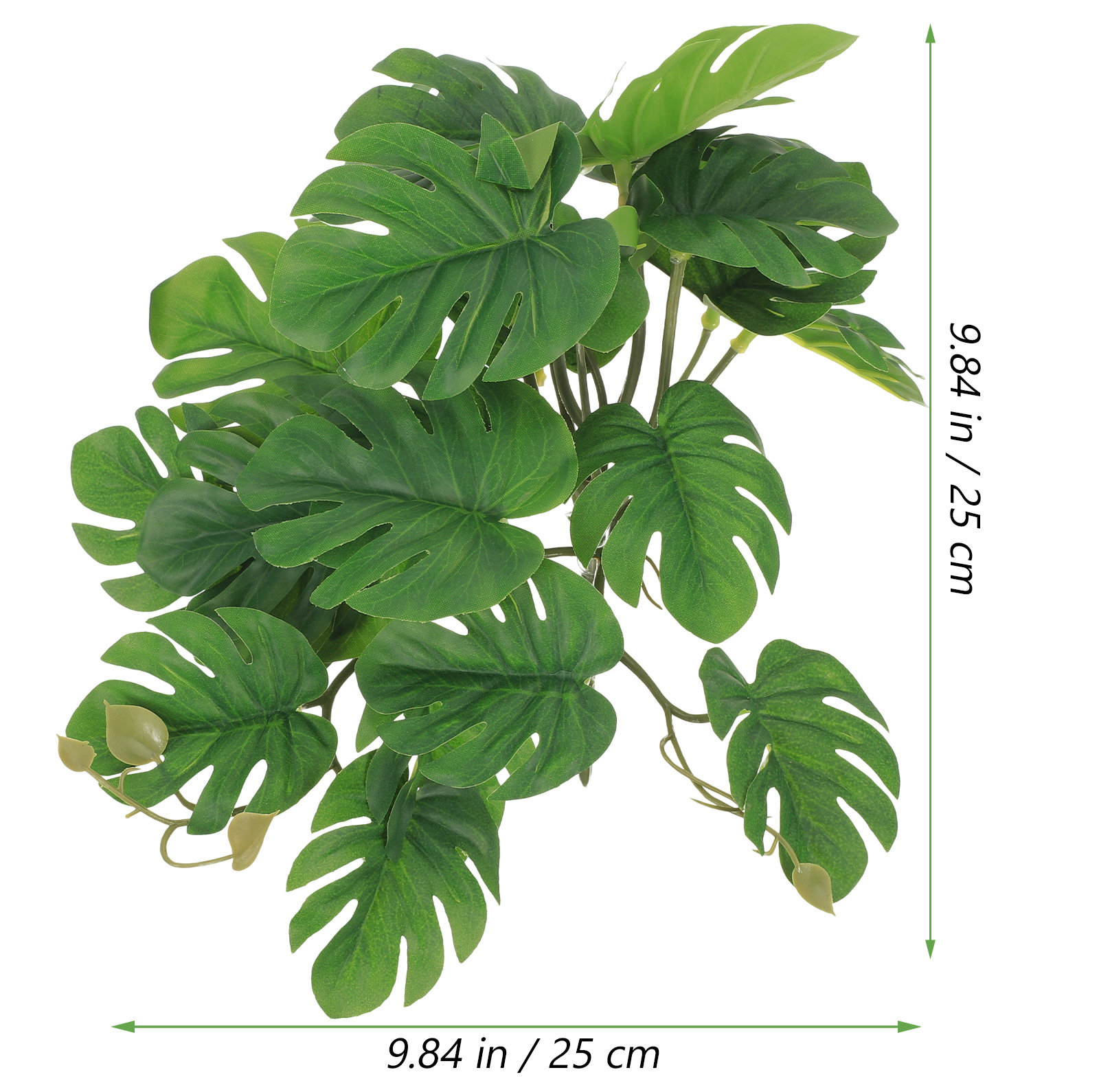 Sichere, ungiftige Reptilienpf – Non Planted Aquarium Fish Bewertung und Preis