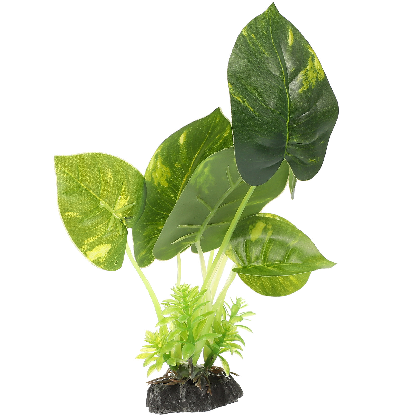 Realistische Künstliche Aquari – Non Planted Aquarium Fish Bewertung und Preis