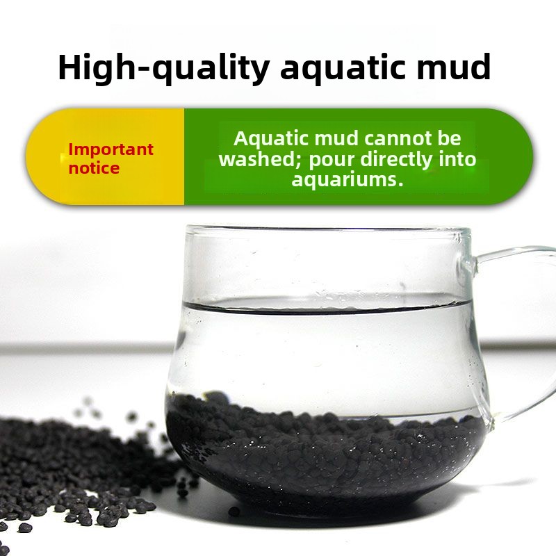 Nicht-Keramischer Aquarien-Sch – Non Planted Aquarium Fish Bewertung und Preis