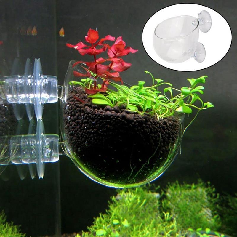 Acryl Wasserpflanze Tasse Aqua – Aquarium Planted Seeds Bewertung und Preis