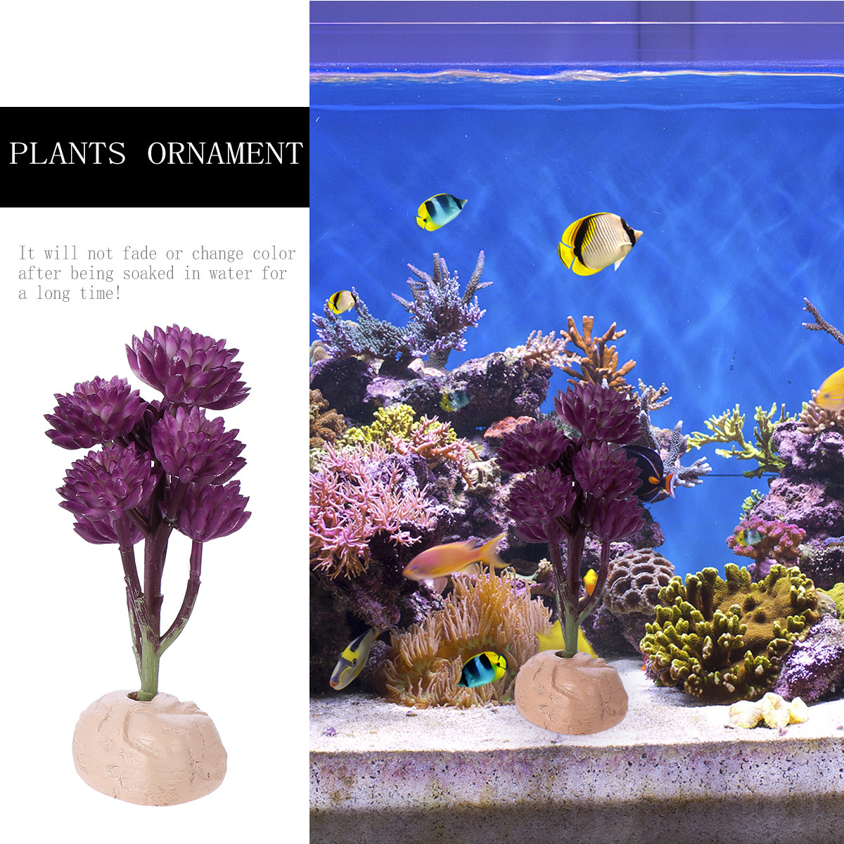 7-Köpfige Lotus-Simulationspfl – Non Planted Aquarium Fish Bewertung und Preis