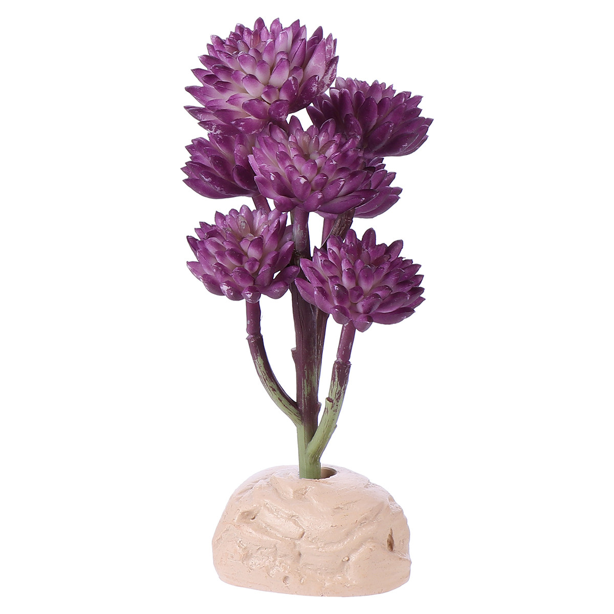 7-Köpfige Lotus-Simulationspfl – Non Planted Aquarium Fish Bewertung und Preis