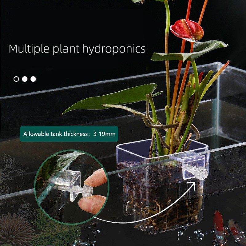 1Pc Aquarium Hydrokultur Pflan – Aquarium Planted Seeds Bewertung und Preis