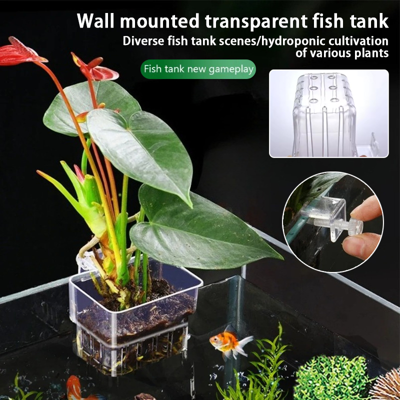 Aquarium Hängepflanzgefäße Wan – Planted Aquarium Materials Bewertung und Preis