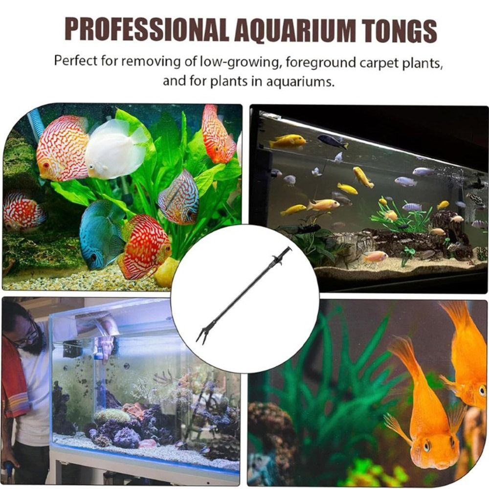1 Stück 50cm Aquarium-Kunststo – Non Planted Aquarium Fish Bewertung und Preis