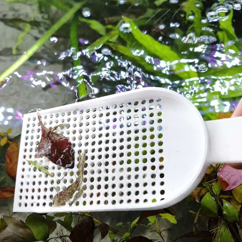 Aquarium-Fischbecken-Schmutzsc – Aquarium Plant Utensils Bewertung und Preis