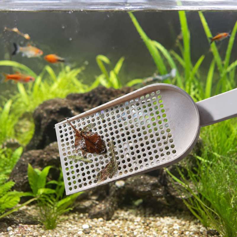 Aquarium-Fischbecken-Schmutzsc – Aquarium Plant Utensils Bewertung und Preis