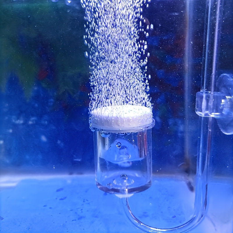 Aquarium Glas CO2 Zerstäuber D – Planted Aquarium Equipment Bewertung und Preis