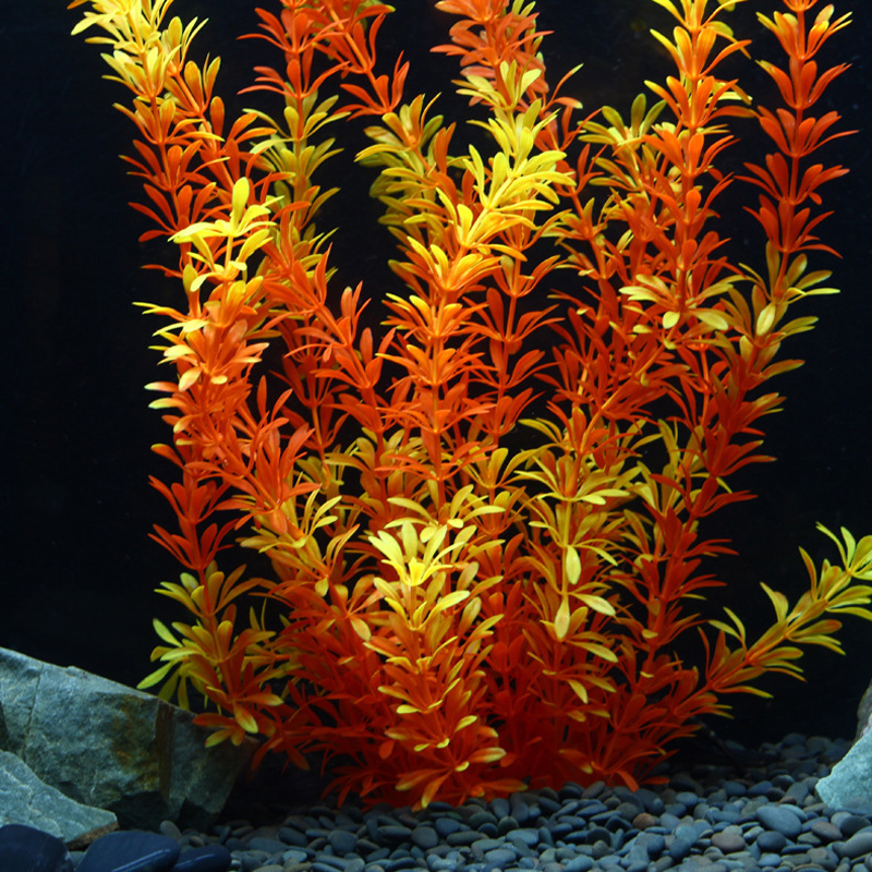 100cm Tropische Pflanzen, Groß – Aquarium Plant Grass Bewertung und Preis
