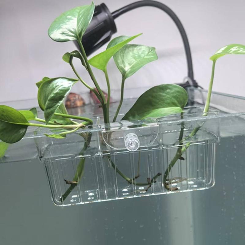 Hydroponischer Pflanzenkorb au – Aquarium Planted Plants Bewertung und Preis