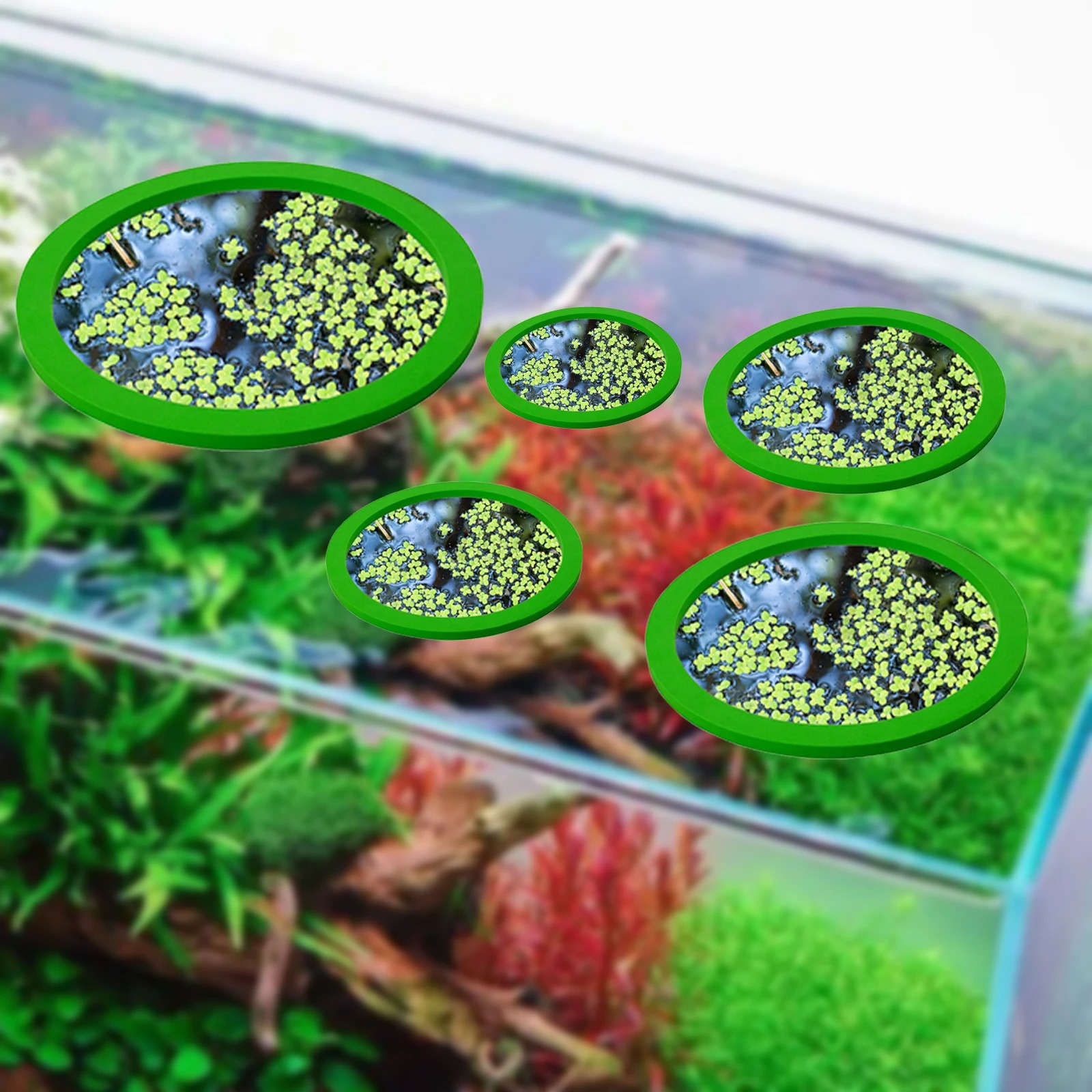 5Pcs EVA Fisch Fütterung Ring  – Aquarium Planted Plants Bewertung und Preis