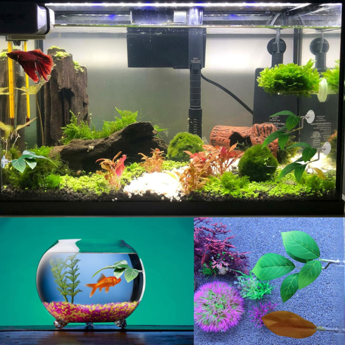 1 Stück Betta-Fisch-Hängematte – Planted Aquarium Materials Bewertung und Preis