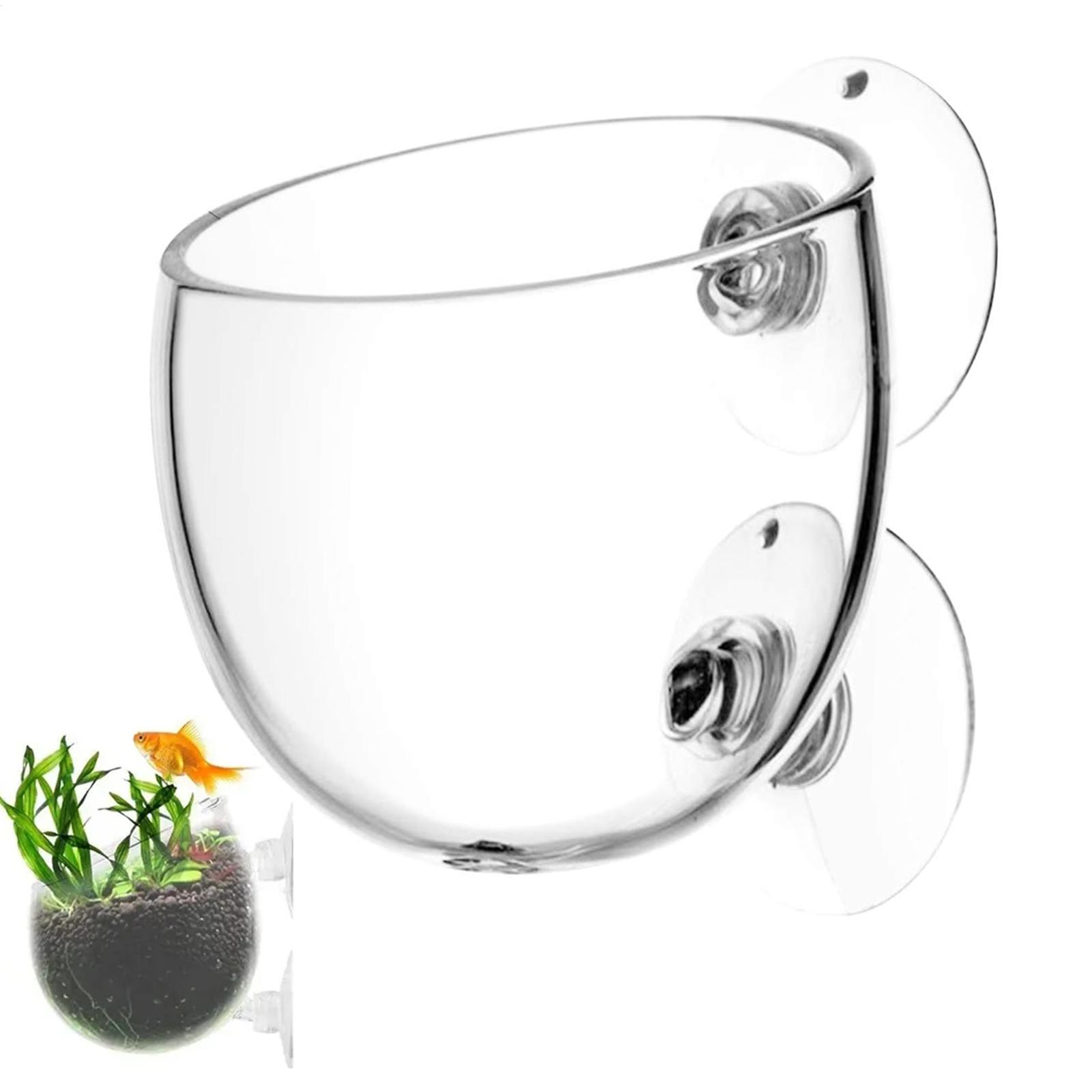 Aquarium-Glas-Pflanzgefäß mit  – Aquarium Plant Dip Bewertung und Preis