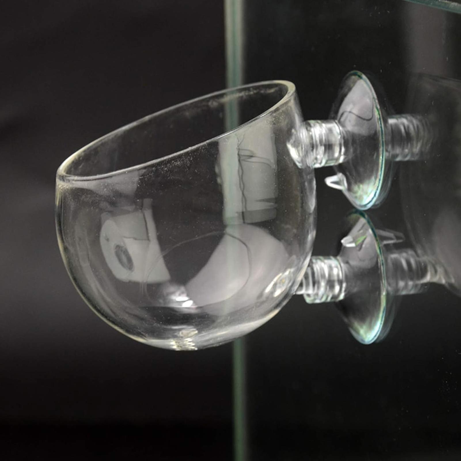 Aquarium-Glas-Pflanzgefäß mit  – Aquarium Plant Dip Bewertung und Preis