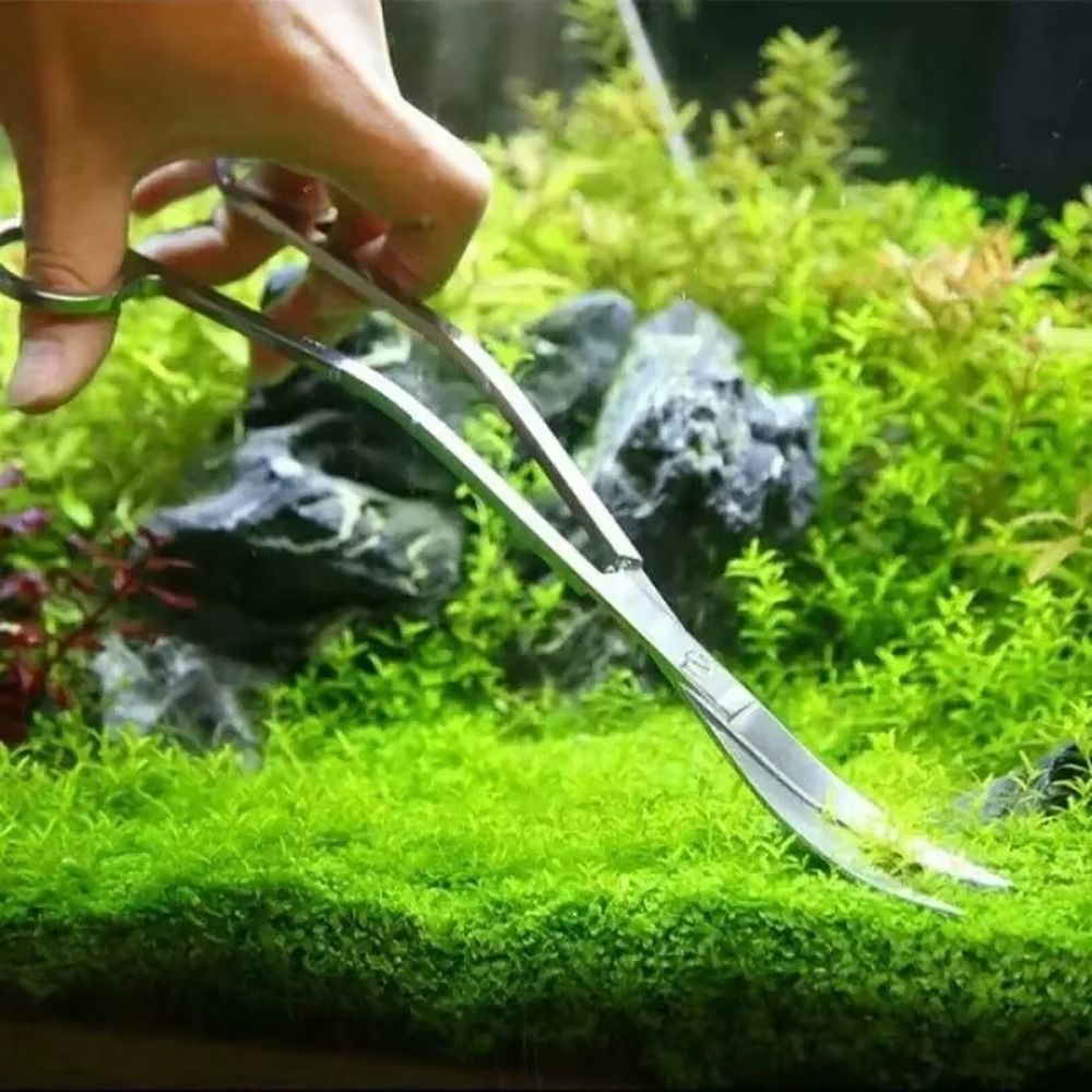 1 Stück Edelstahl-Aquariumsche – Aquarium Plant Grass Bewertung und Preis
