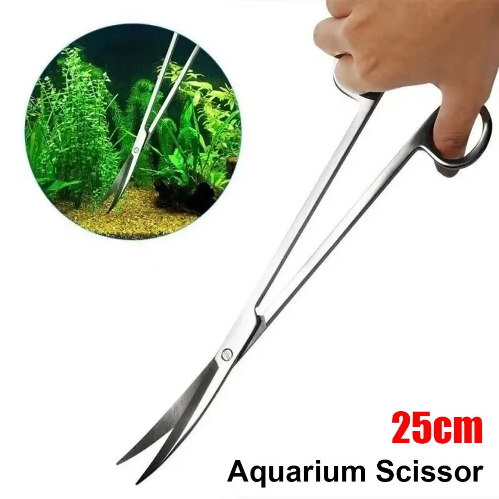 1 Stück Edelstahl-Aquariumsche – Aquarium Plant Grass Bewertung und Preis