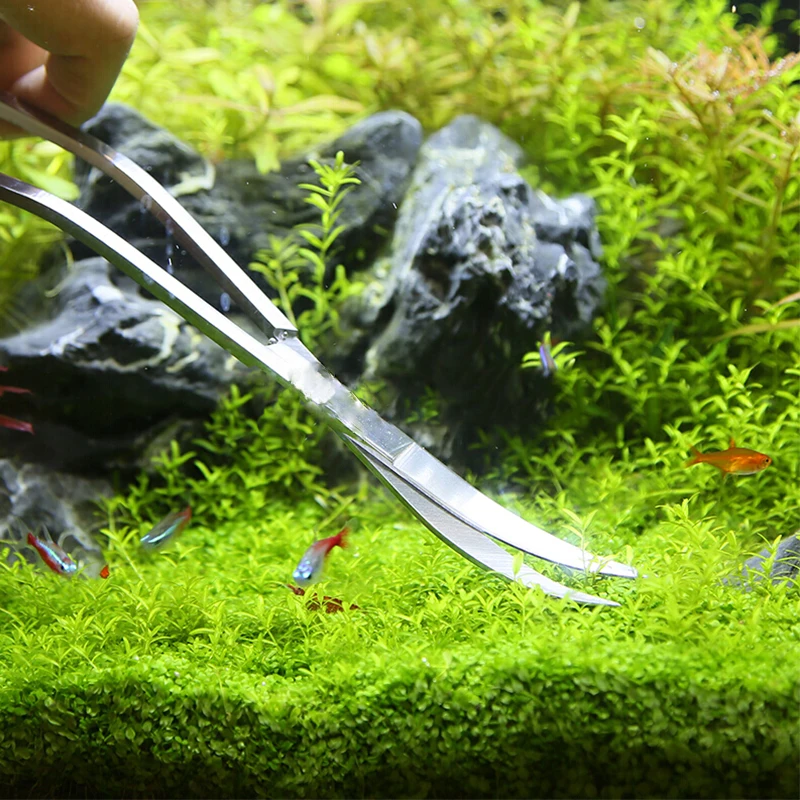 Aquarium Schere Werkzeuge Aqua – Aquarium Plant Grass Bewertung und Preis