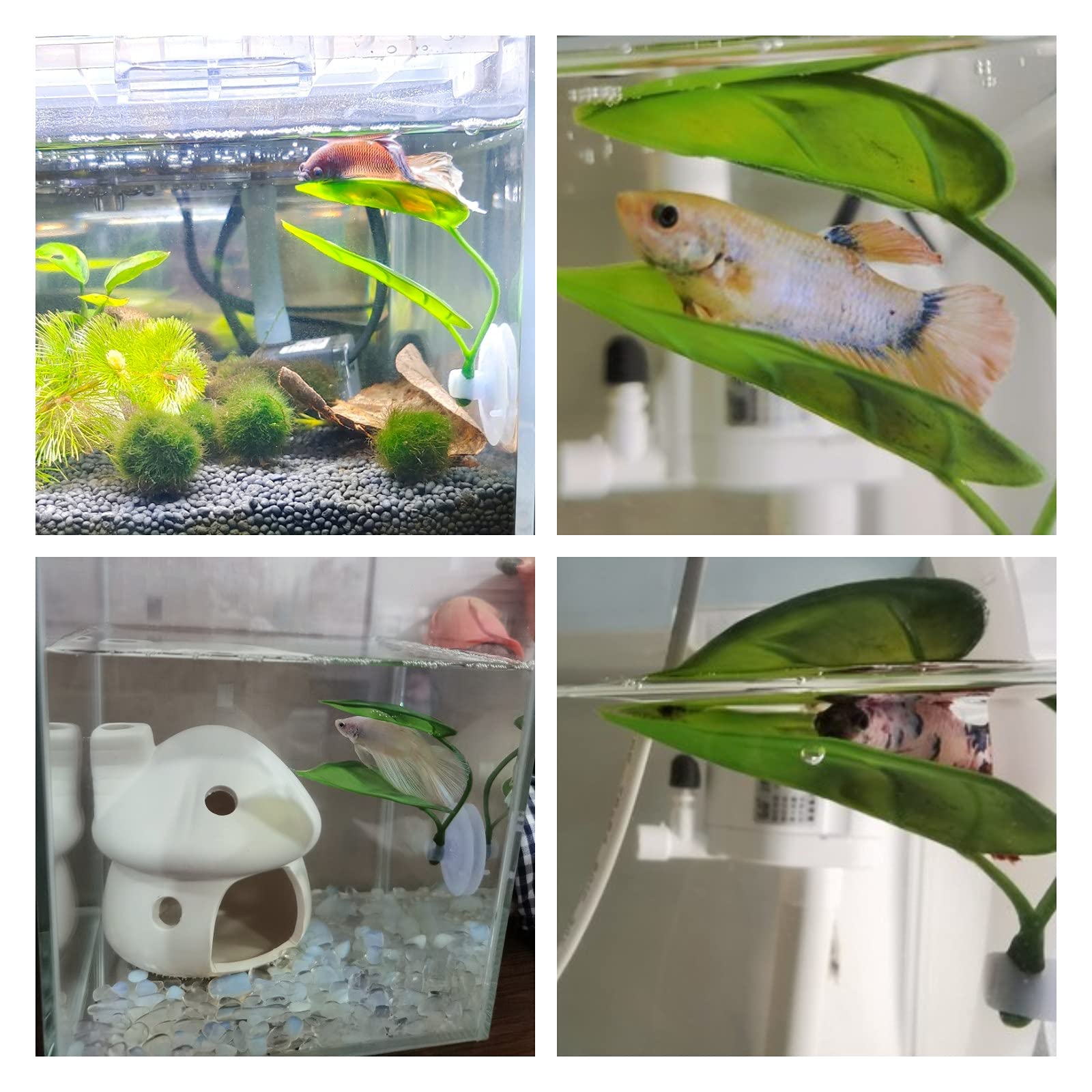 Haustiere Aquarium Dekor Betta – Aquarium Planted Tree Bewertung und Preis