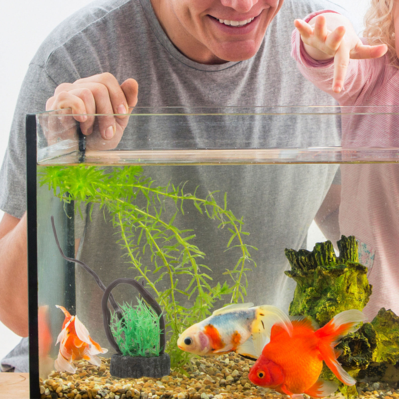Realistisches Set Künstlicher  – Non Planted Aquarium Fish Bewertung und Preis
